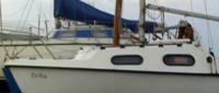 [Immagine: 201154194438_09-04-06       avatar.jpg]